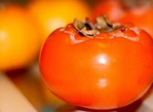 陜西原釀柿子醋